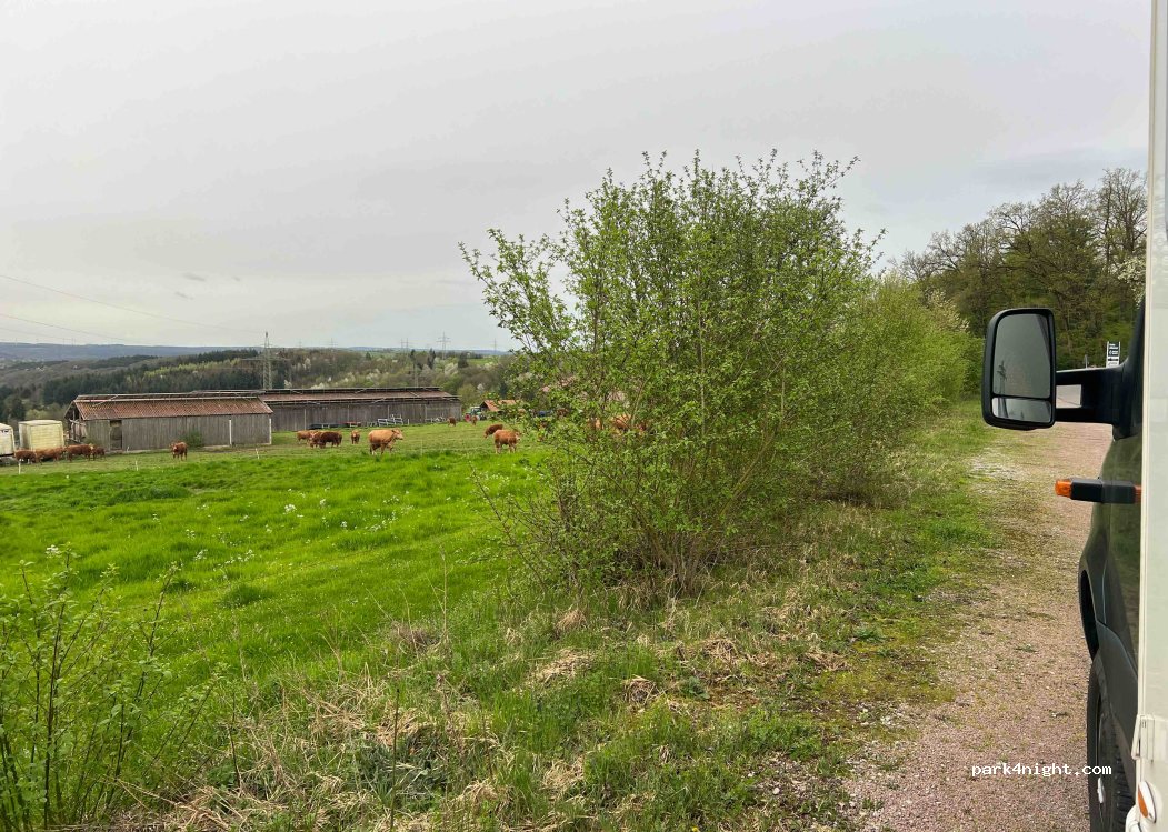 (97828) Marktheidenfeld - Unnamed Road — foto