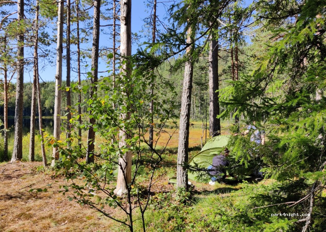 (670 20) Glava - Unnamed Road — foto 2