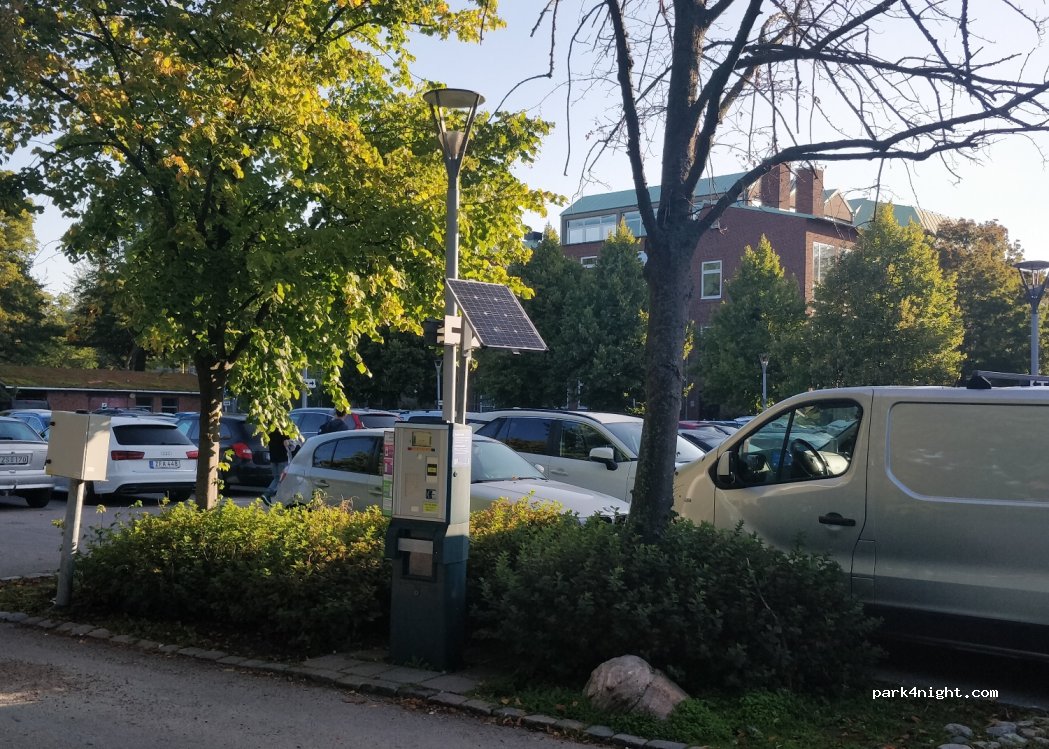 (252 23)  - 11j Bergaliden — foto