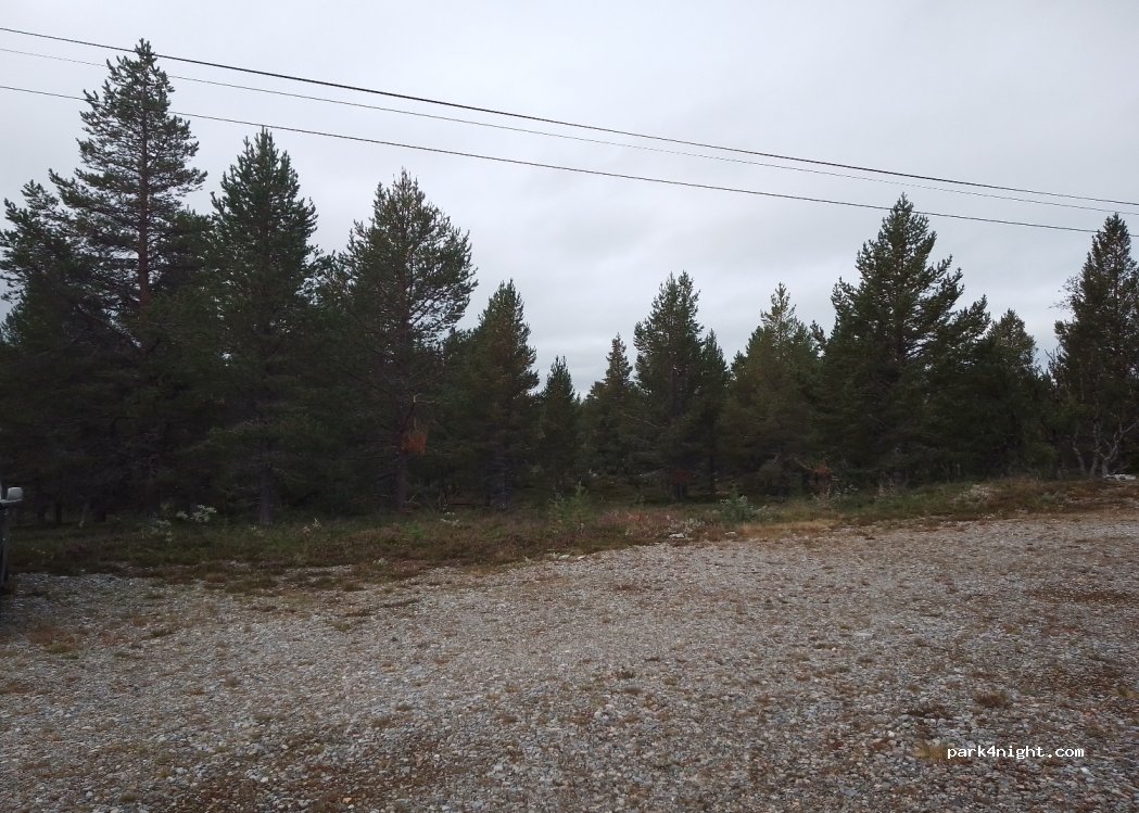 (2443) Drevsjø - Primær Fylkesveg 221 — foto 2