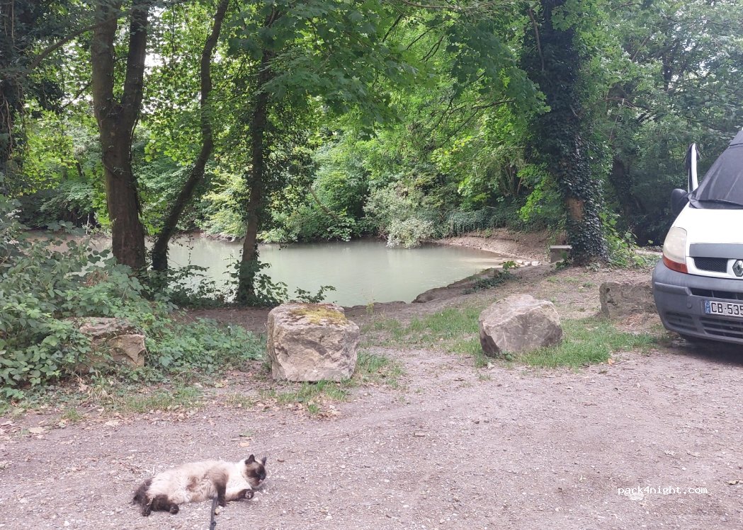 (51360) Beaumont-sur-Vesle - 16 Chemin de Halage — foto 3