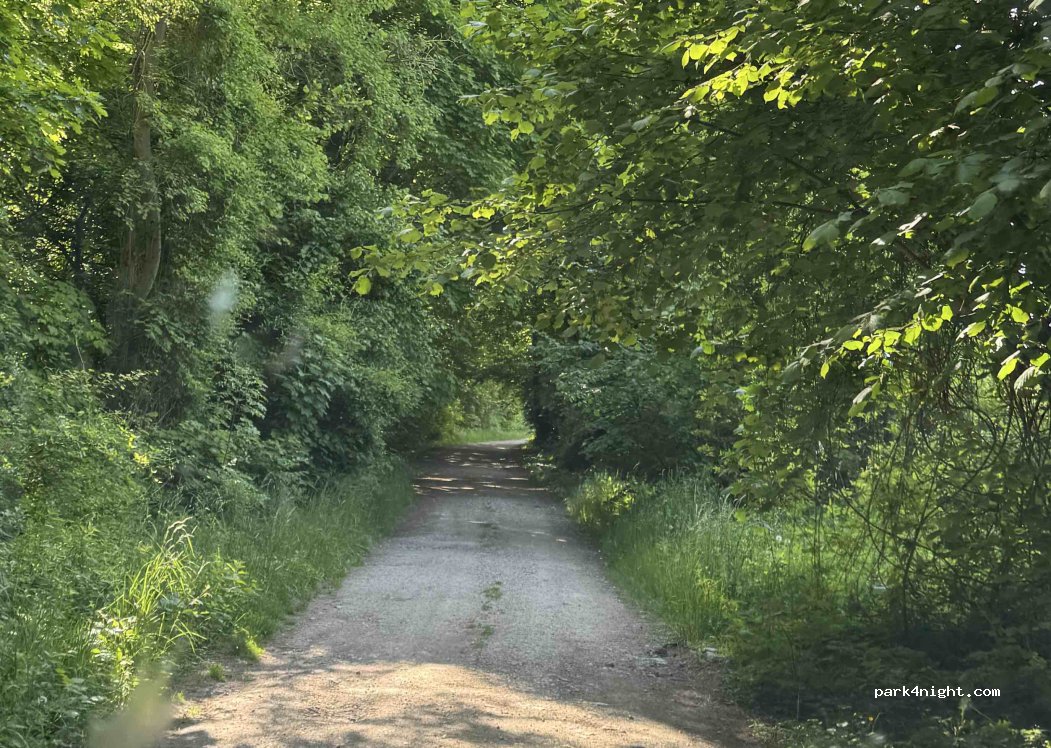 (51360) Beaumont-sur-Vesle - 16 Chemin de Halage — foto 5