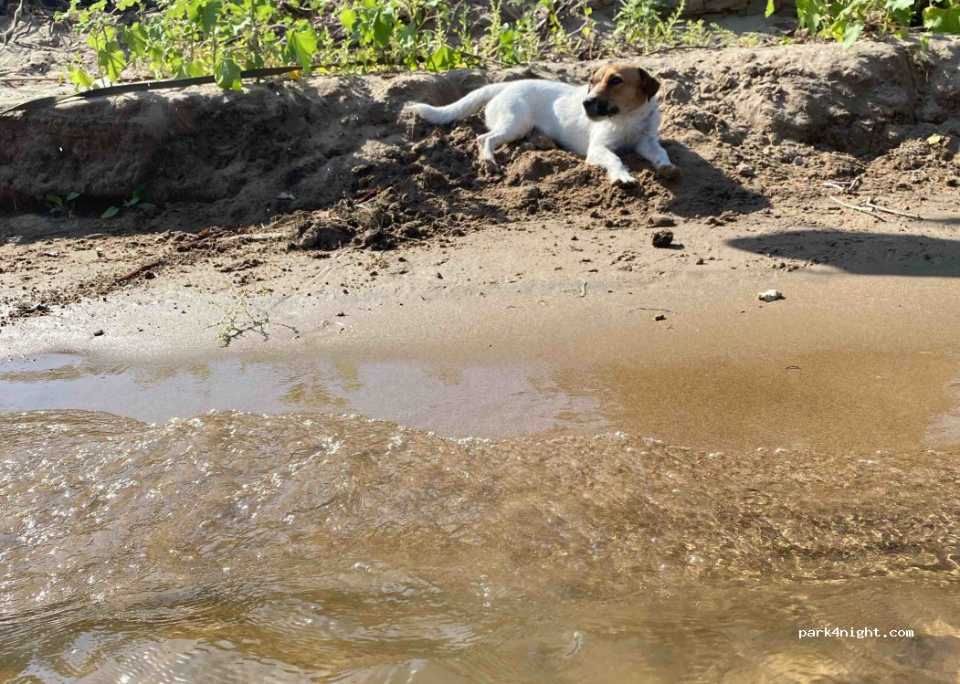 (404171) Svetlyi Yar - Unnamed Road — foto