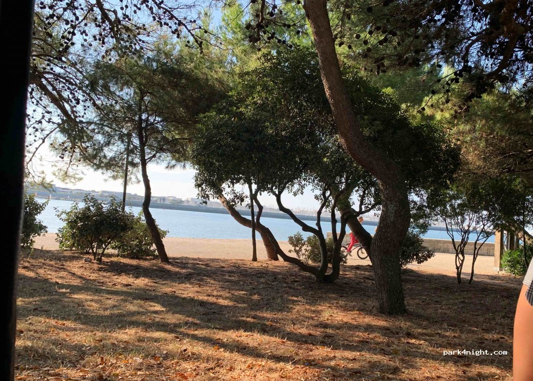 (17000) La Rochelle - 16 Allée du Mail — foto 3