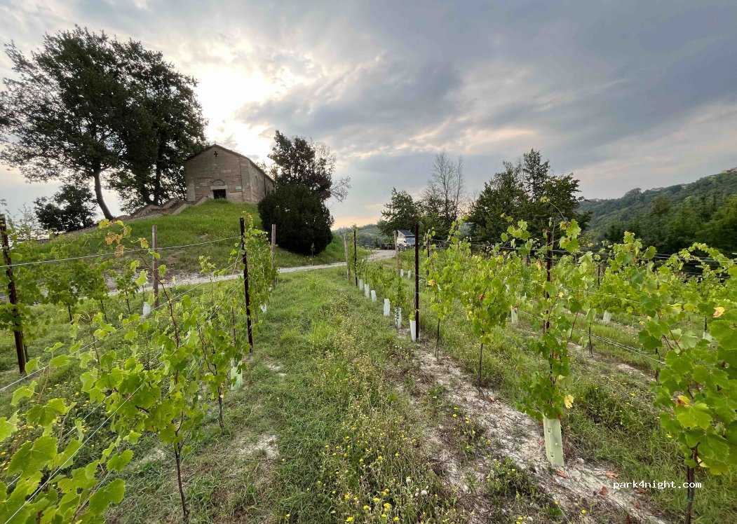 (15030) Treville - 3 Strada Provinciale 32 — foto 3