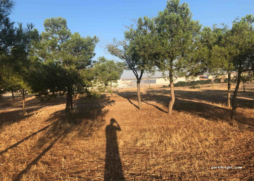 (45200) Illescas - 2 Camino los Cerros — foto 2