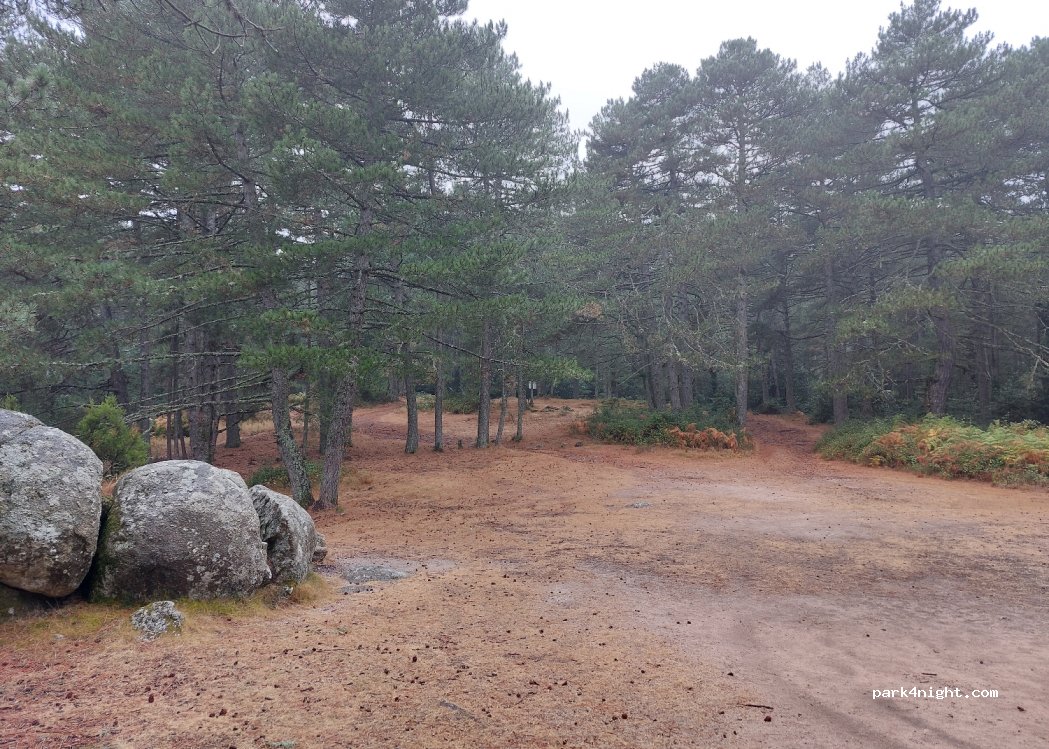 (20137) Porto-Vecchio - Unnamed Road — foto 2