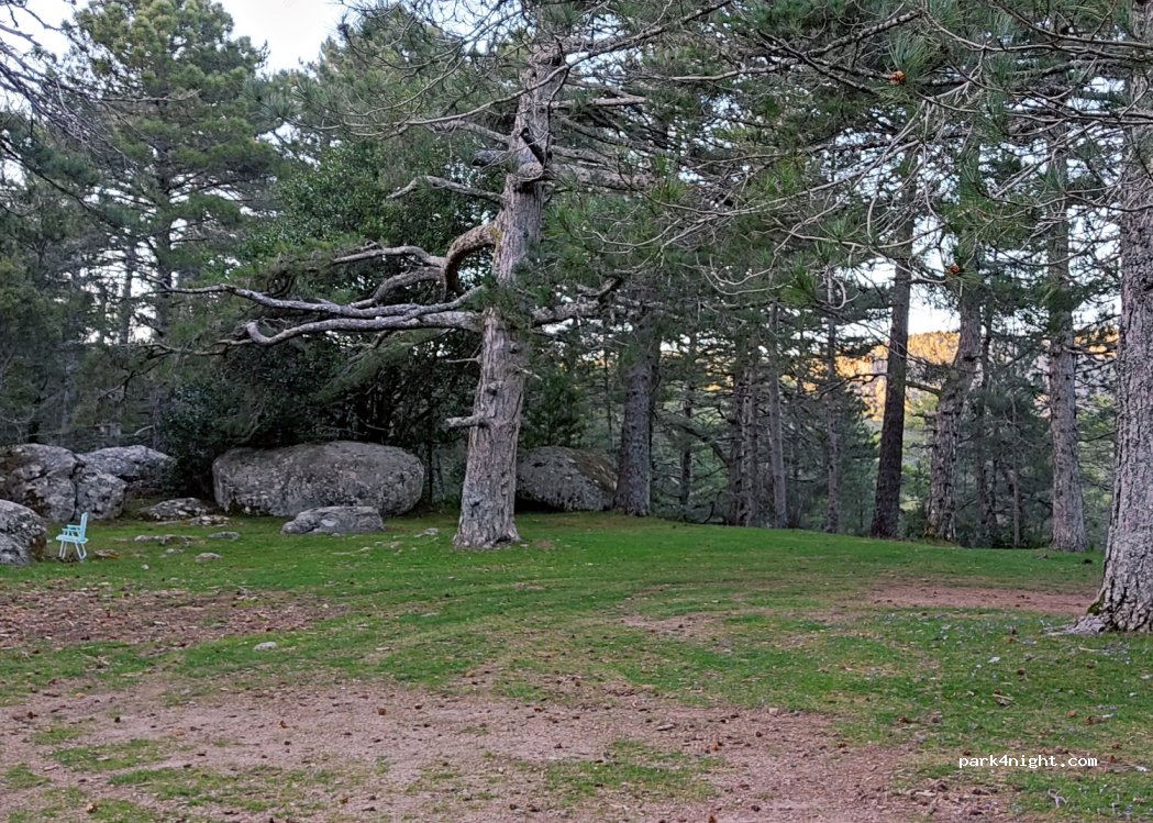 (20137) Porto-Vecchio - Unnamed Road — foto 3