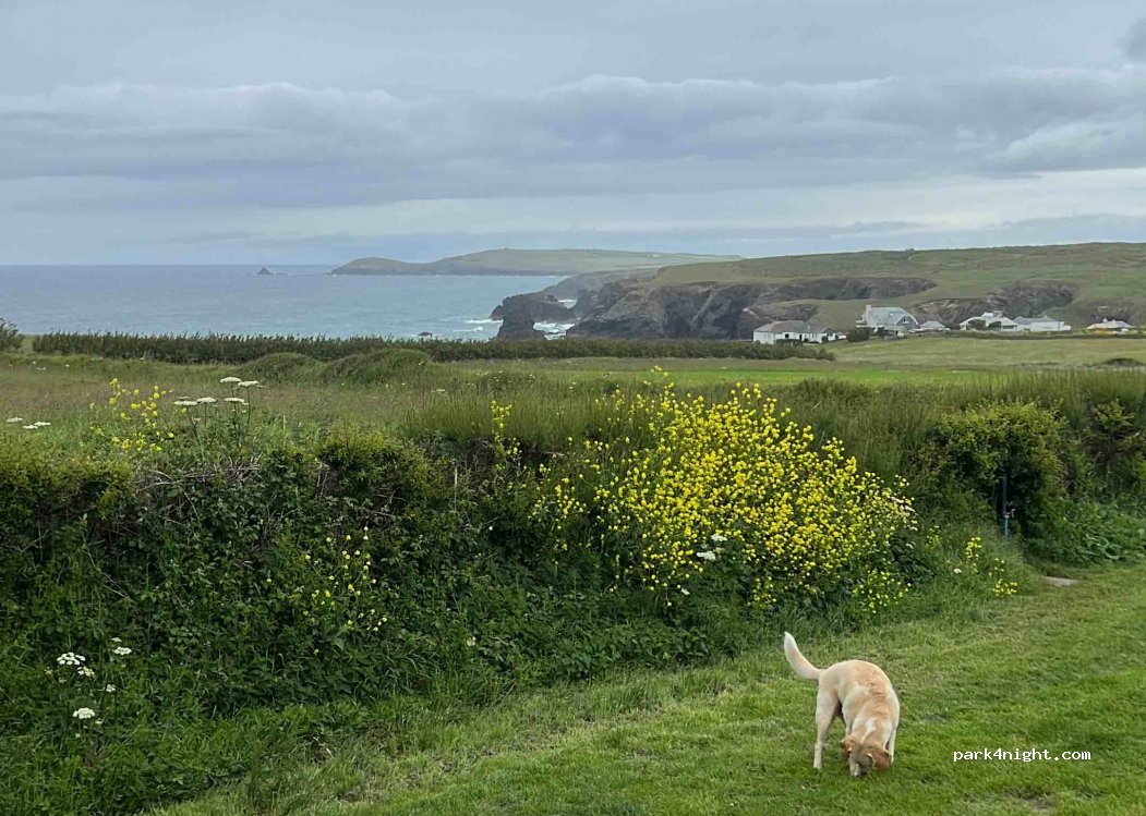 Atlantic View Camping — foto 4