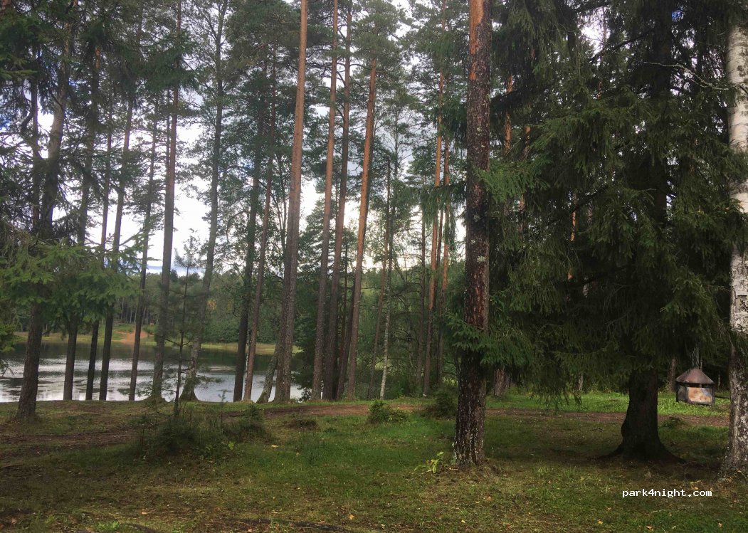 (41215) Vasavere - — foto 2