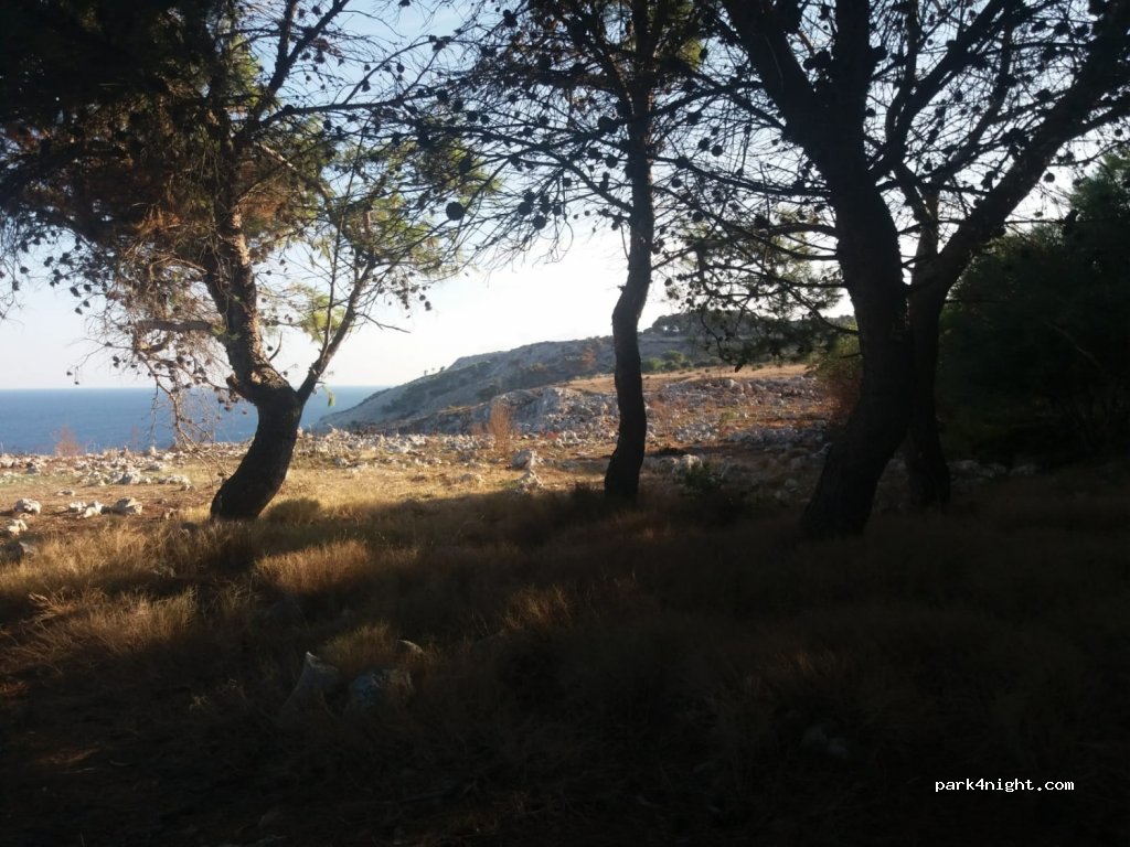 (73020) Porto Badisco - 12 SP358 — foto