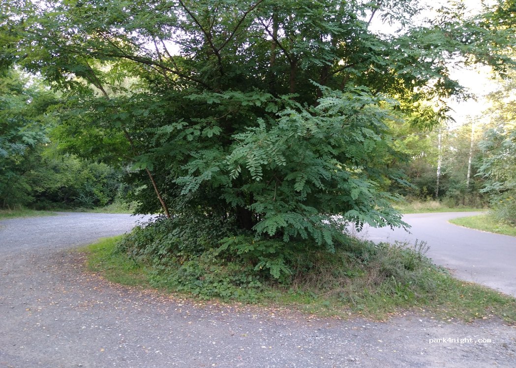 (15295) Brieskow-Finkenheerd - 55 Wochenendsiedlung Margarete — foto 2
