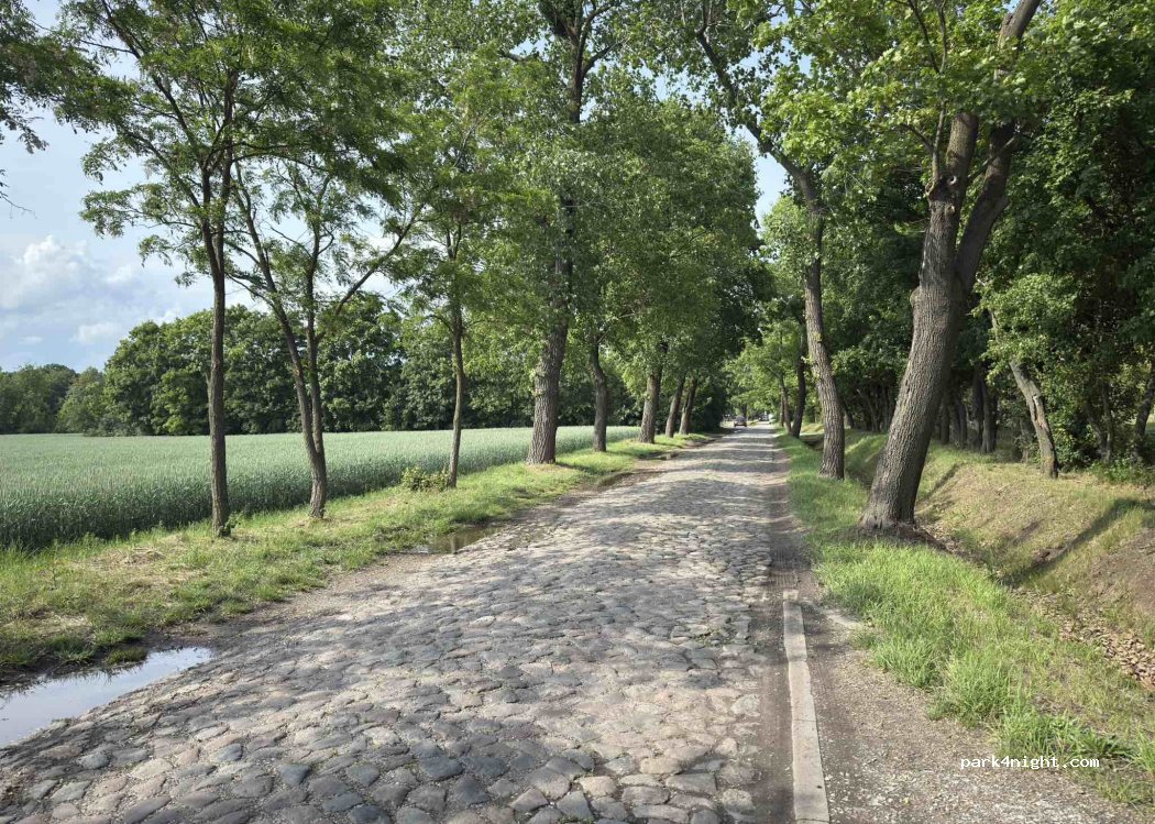 (88-110) Inowrocław - Rąbińska — foto 5