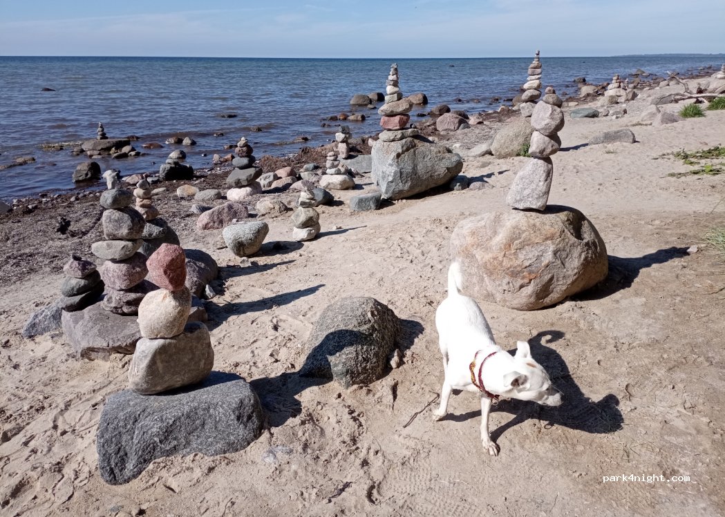 (23999) Insel Poel - 6-1 Strandstraße — foto