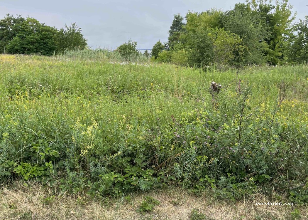 (16727) Velten - Zum Seitenarm — foto 4