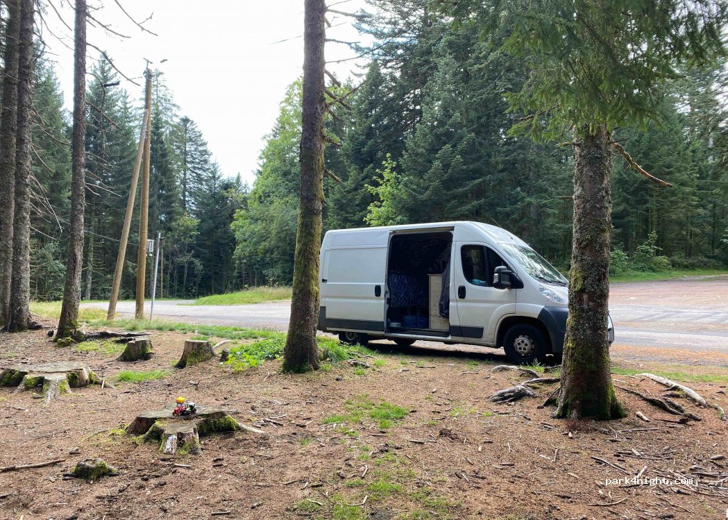 (88400) Gérardmer - Chemin du Grand Liézey — foto 3