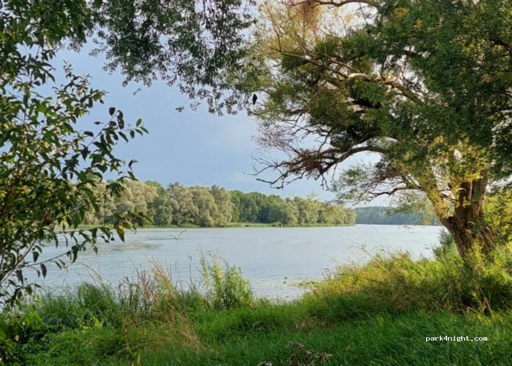 (69220) Belleville-en-Beaujolais - 25 Quai Joannes Monternier — foto 4