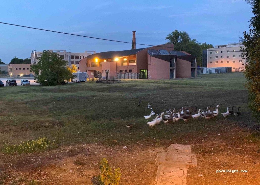 (40024) Castel San Pietro Terme - 1054 Viale Terme — foto 3