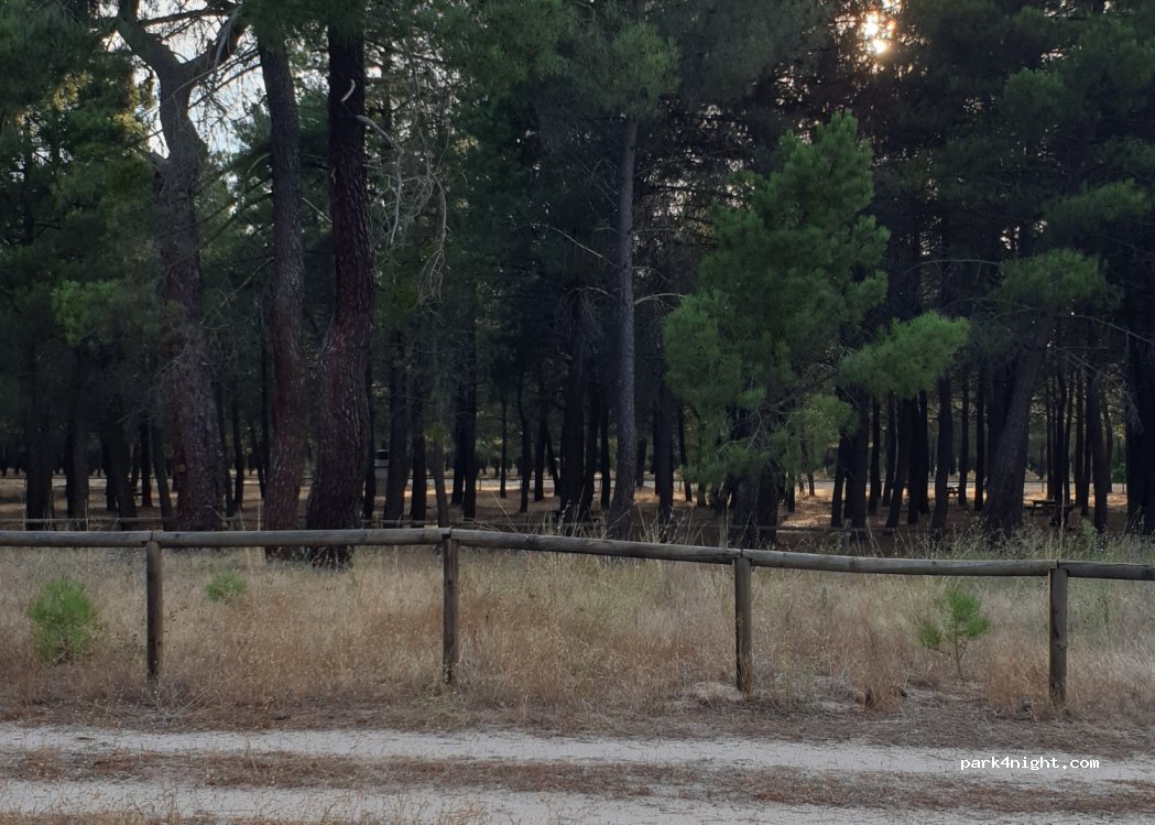 (40241) Cuéllar - Unnamed Road — foto
