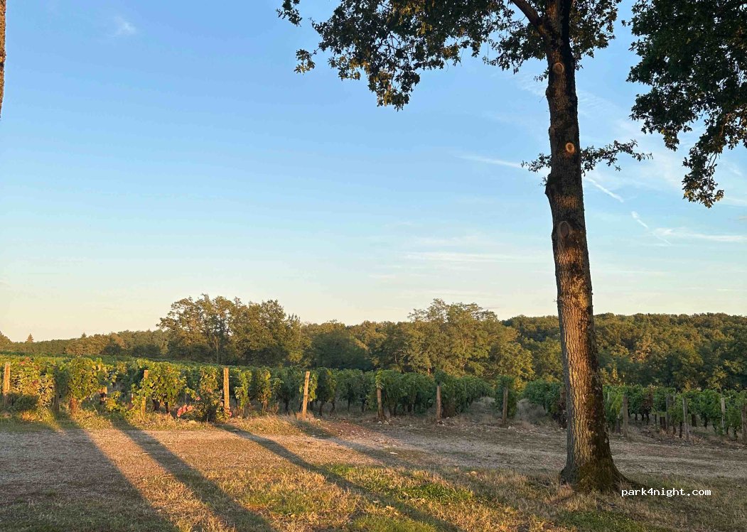 Clos des Cortillaux — foto 3