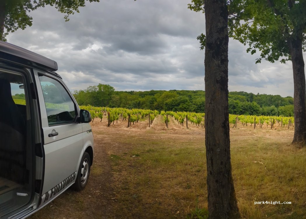 Clos des Cortillaux — foto 5