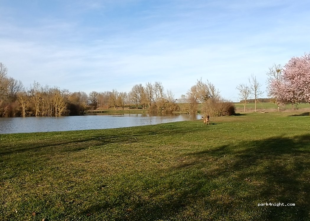 (18220) Brécy - 6 Rue du Château Botte — foto 3