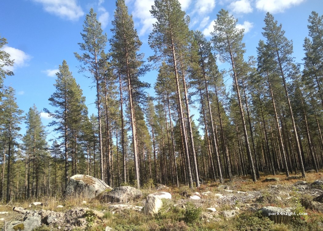 (680 65)  - Unnamed Road — foto