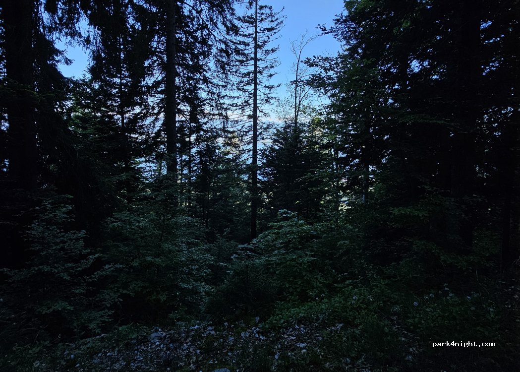 (2023) Gorgier - Chemin du Laga — foto