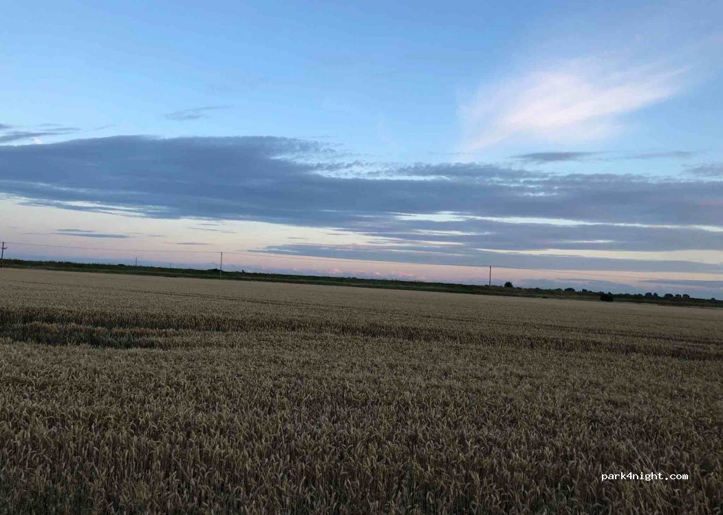 (SS4) Rochford - Creeksea Ferry Road — foto 3