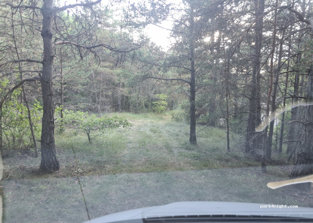 (04000) Digne-les-Bains - Route du Villard des Dourbes — foto