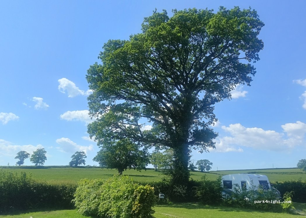 Towy Valley Caravan Park — foto 2