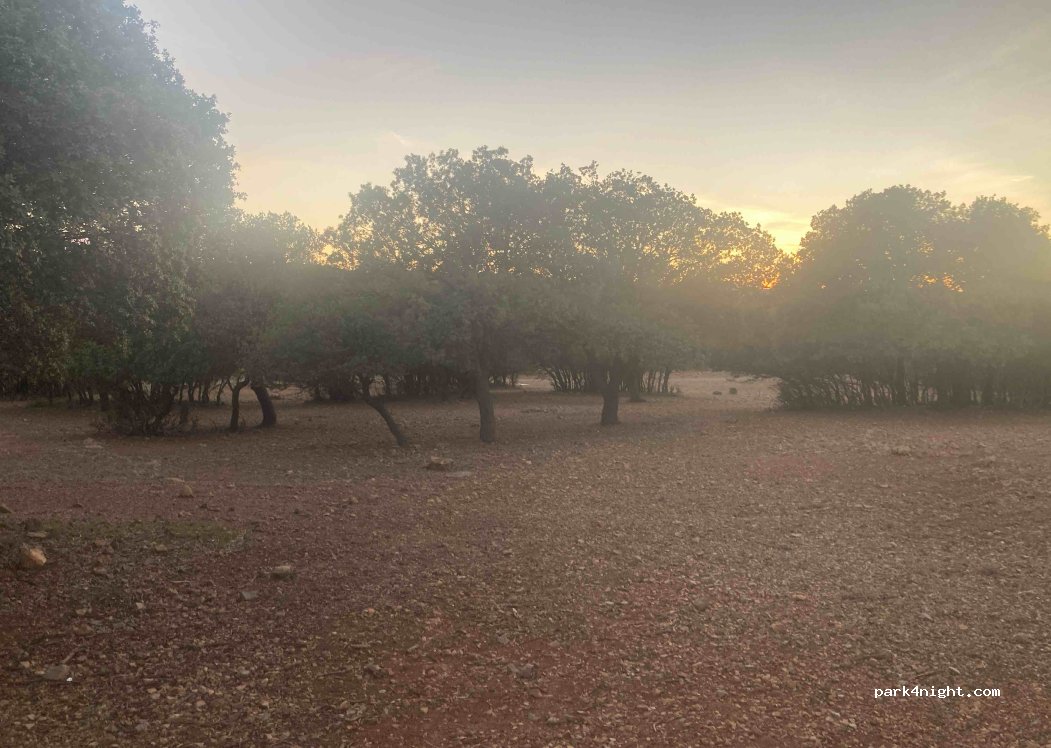 (44460) Sarrión - Unnamed Road — foto 4