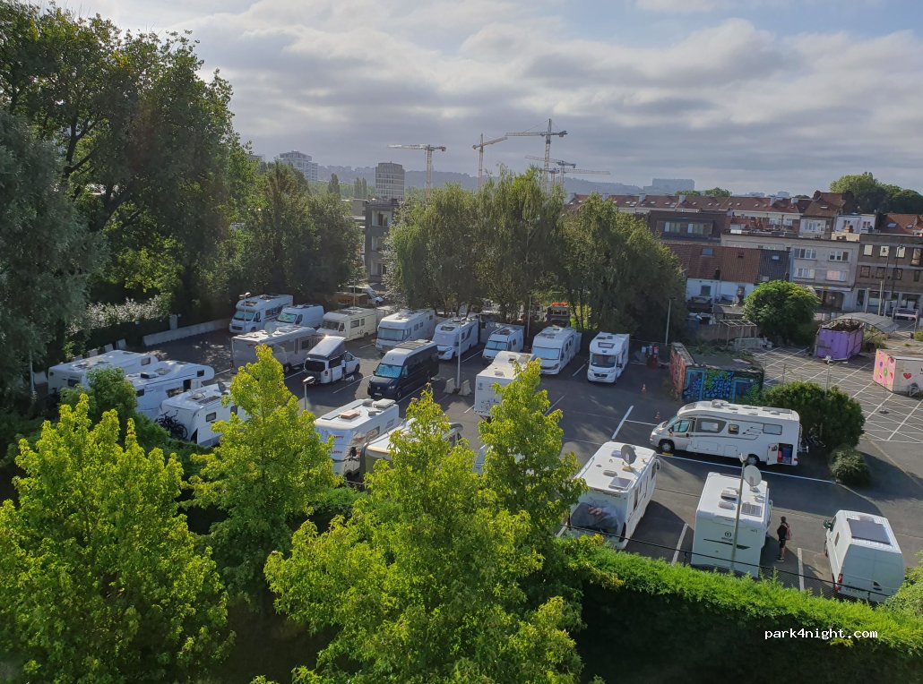 Camp in Brussels — foto