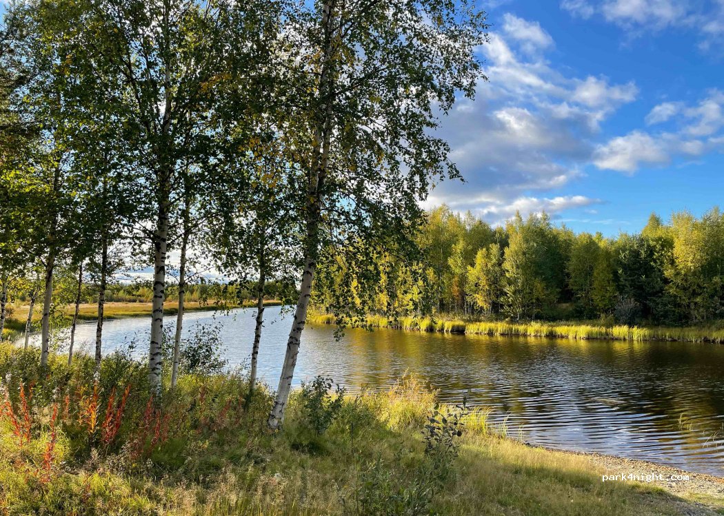 (98350) Tapionniemi - 2467 Sodankyläntie — foto 2
