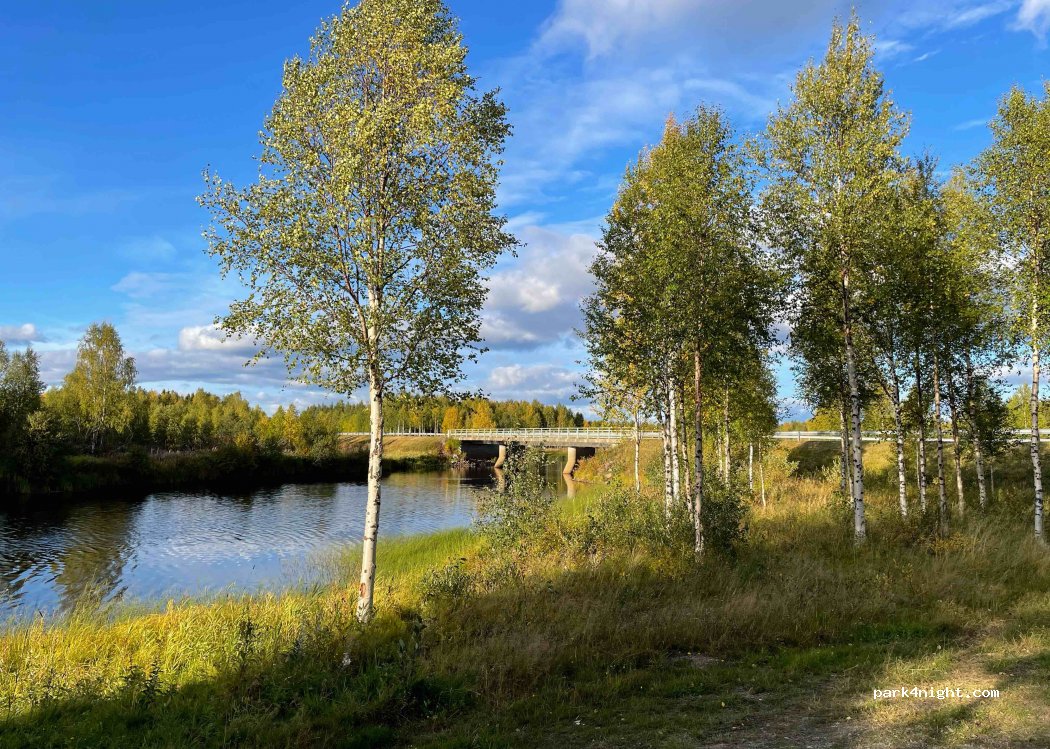 (98350) Tapionniemi - 2467 Sodankyläntie — foto 3