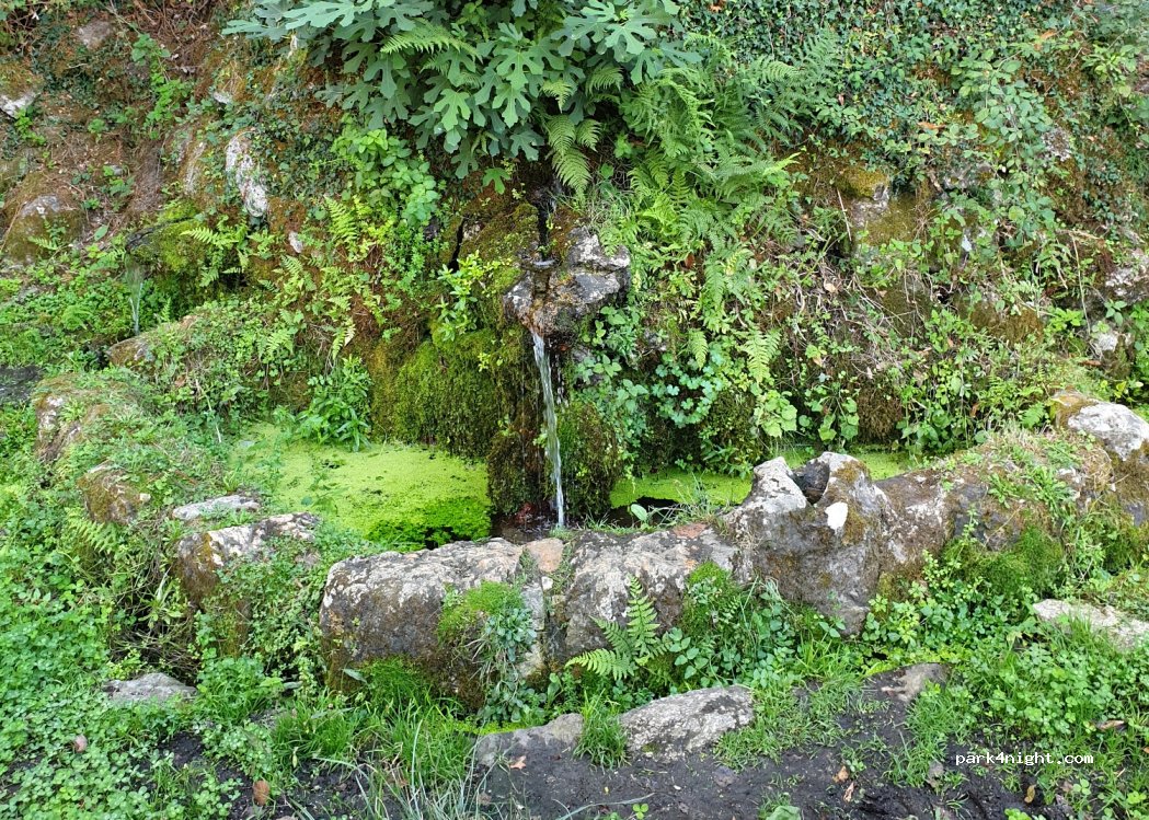 (20151) Vico - D70 — foto