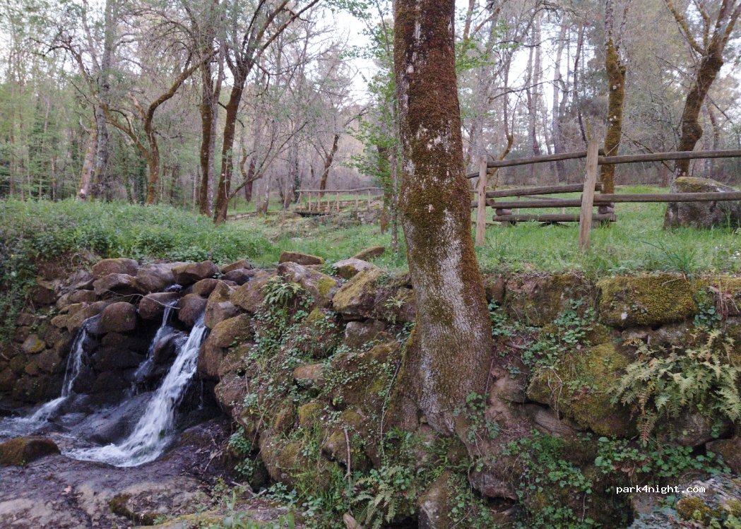 (32615) Verín - 278 Lugar Abedes — foto 4