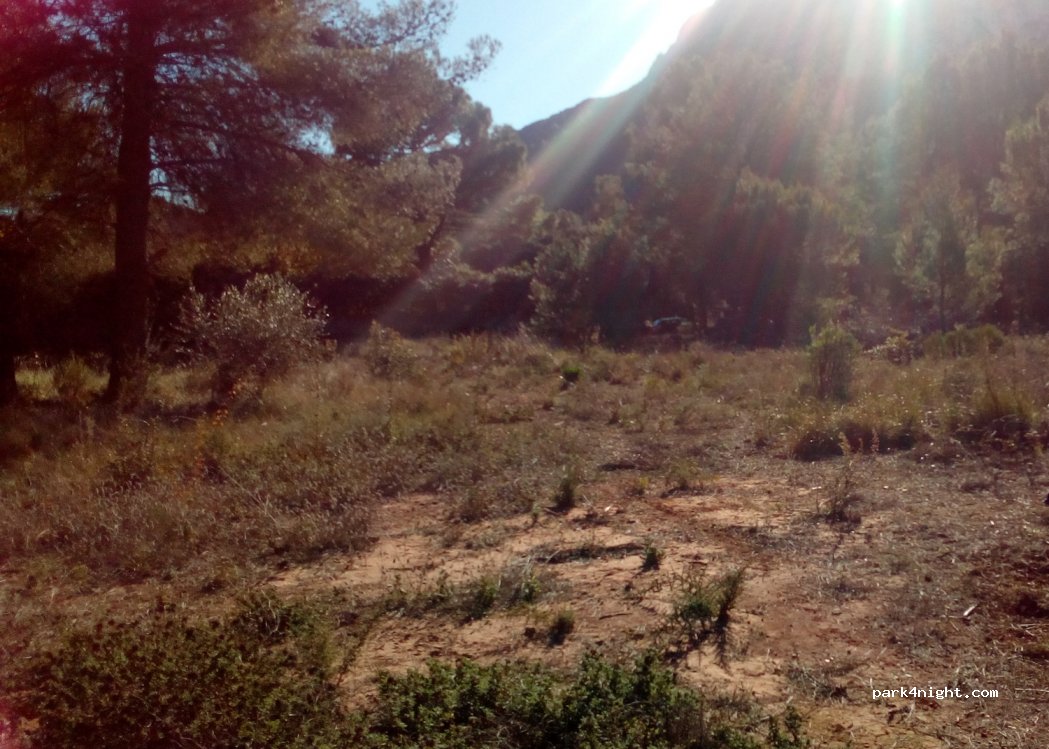 (46758) Barx - 8A Carrer Corral Solat — foto 2