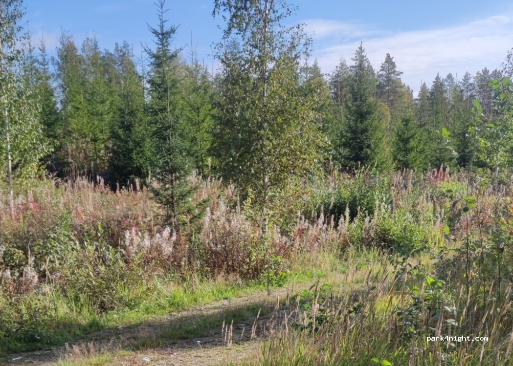 (58175) Enonkoski - Unnamed Road — foto