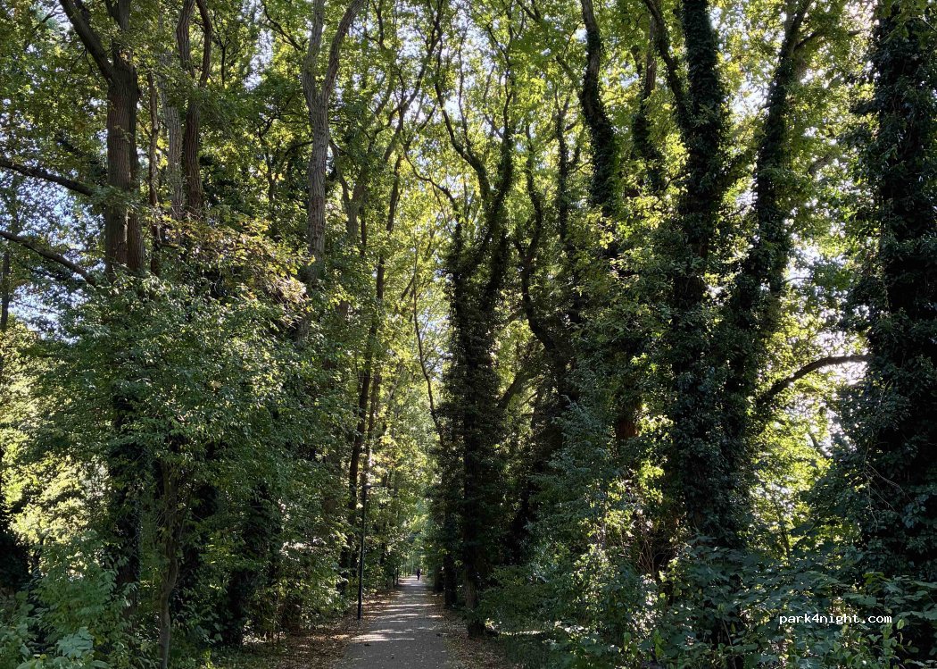 (29225) Celle - 7 Albert-Kusel-Straße — foto 3