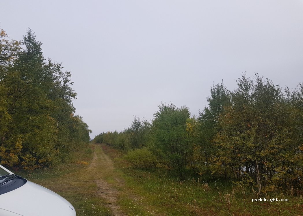 (9845) Tana - 1361 Tanafjordveien — foto