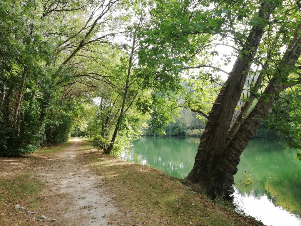 (16200) Jarnac - Rue des Grand Maisons — foto 2