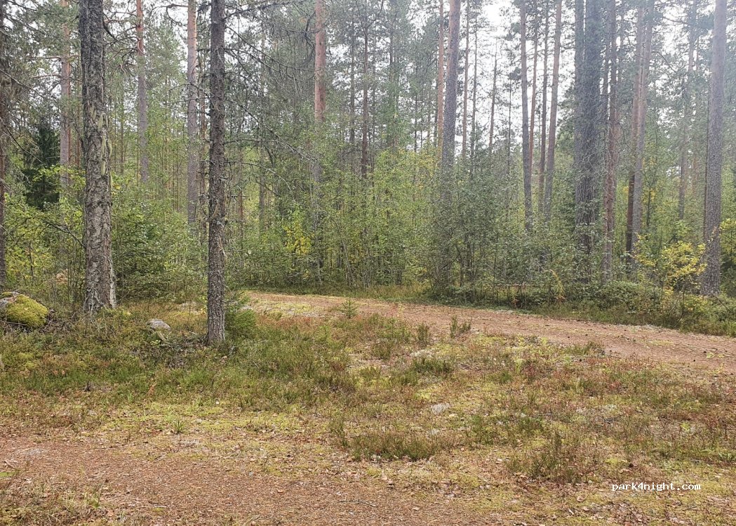 (81650) Lieksa - 27 Suomuntie — foto 2