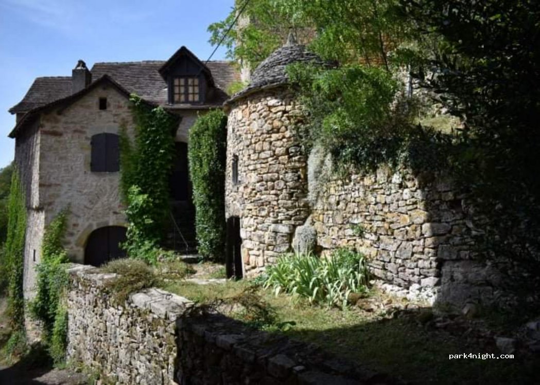 (46100) Faycelles - Fenouil — foto