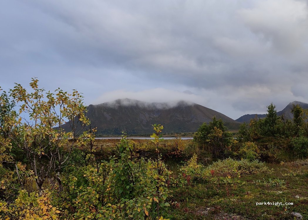 (8480) Andenes - Unnamed Road — foto 2
