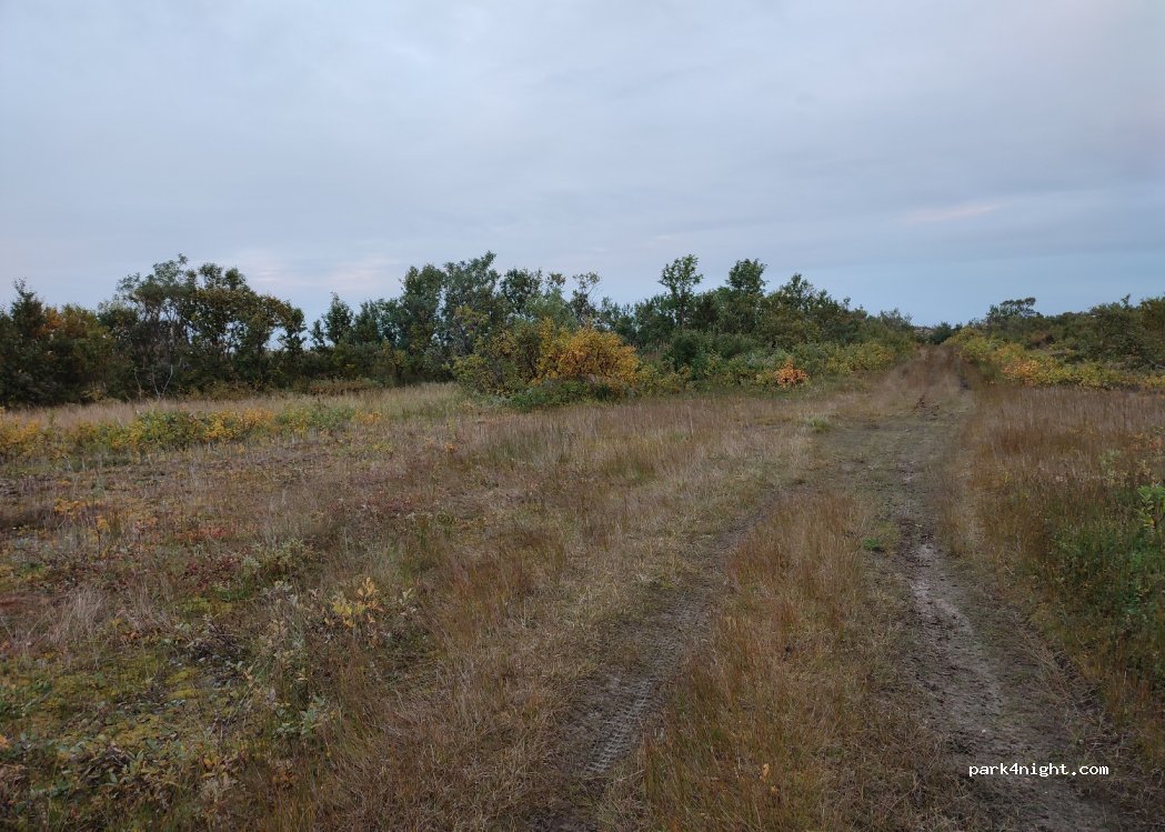 (8480) Andenes - Unnamed Road — foto 3