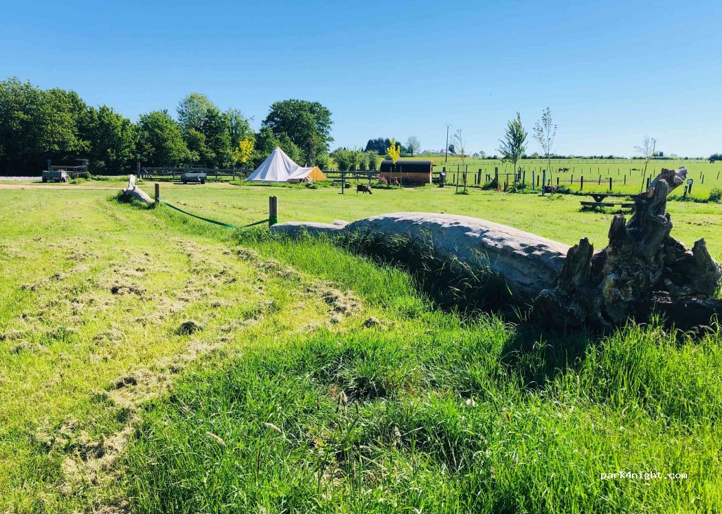 Ferme Equestre de Martué — foto 2