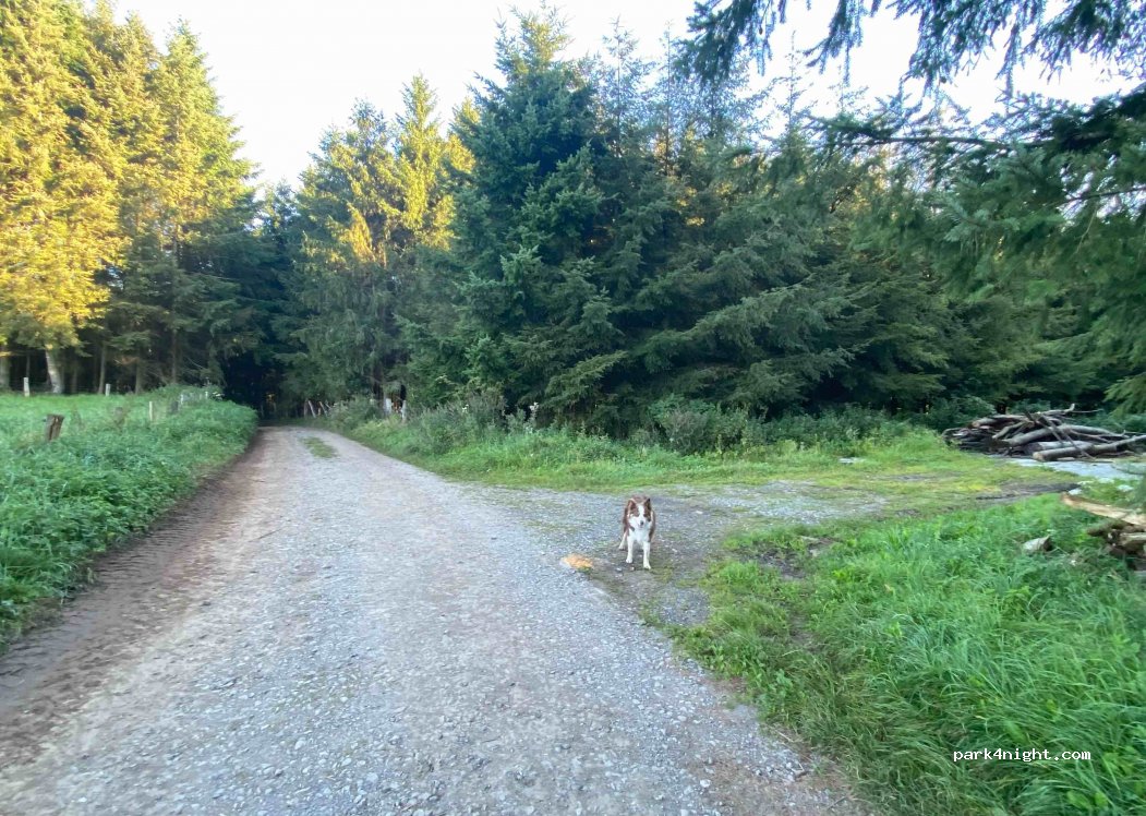 (6852) Paliseul - Chemin du Sarté — foto
