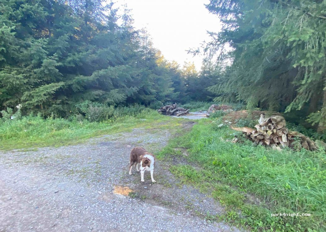 (6852) Paliseul - Chemin du Sarté — foto 2