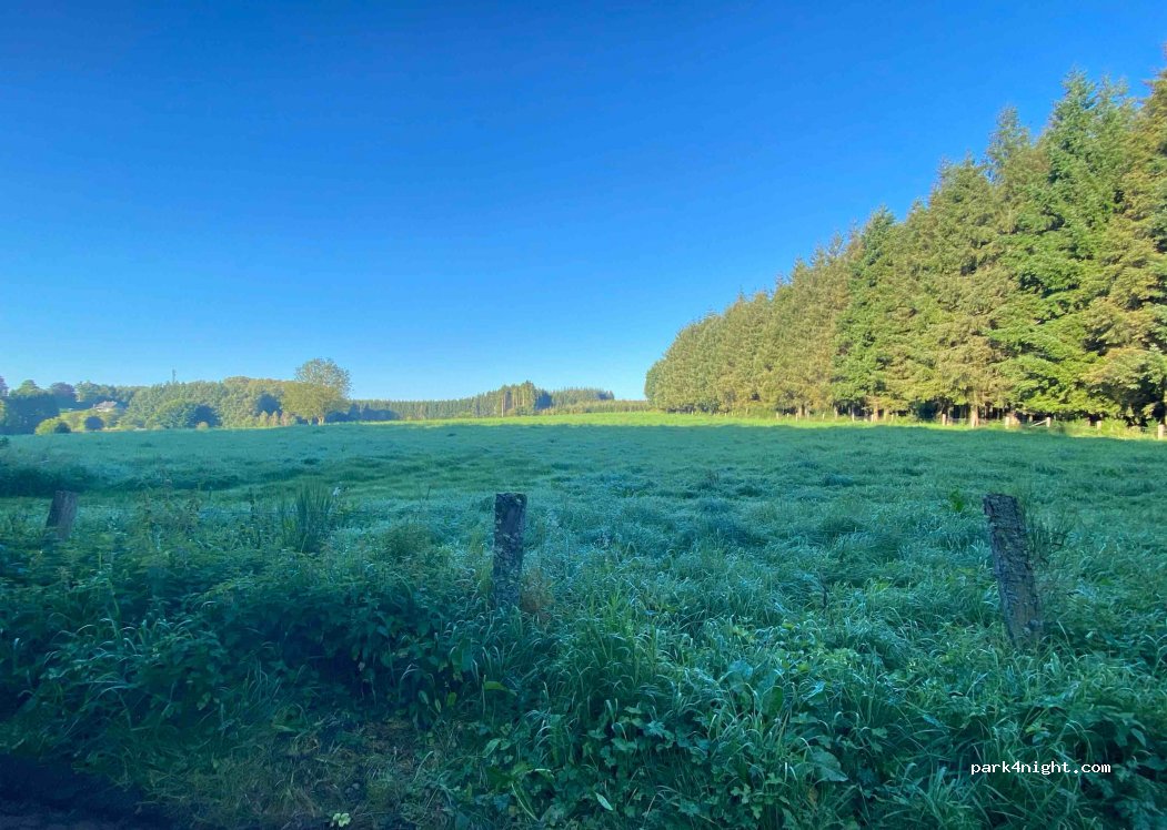 (6852) Paliseul - Chemin du Sarté — foto 3